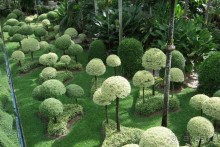 Тайланд навсегда....Часть 2. Тропический сад Нонг Нуч в Паттайе.