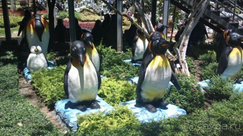 Тайланд навсегда....Часть 2. Тропический сад Нонг Нуч в Паттайе.