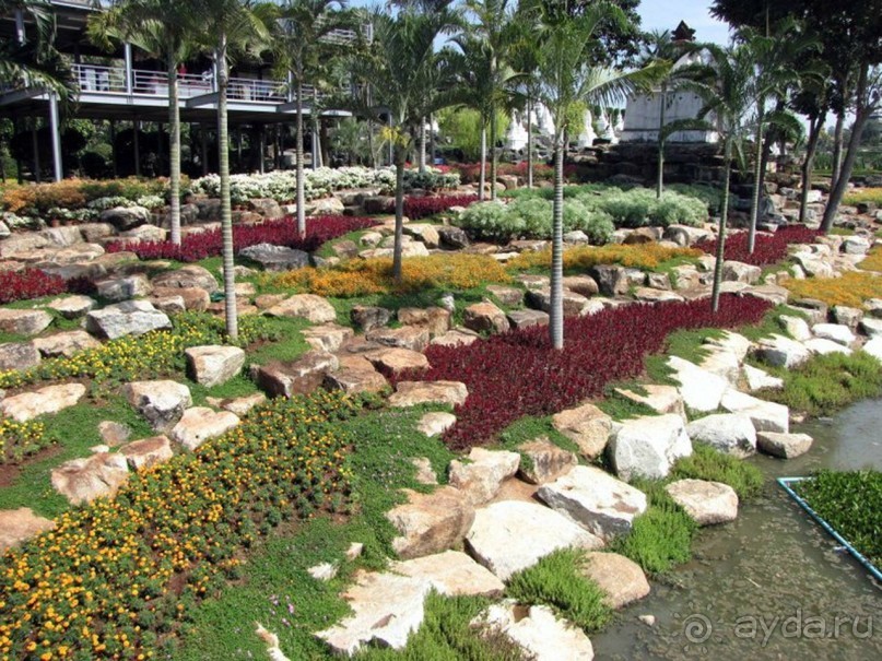 Тайланд навсегда....Часть 2. Тропический сад Нонг Нуч в Паттайе.