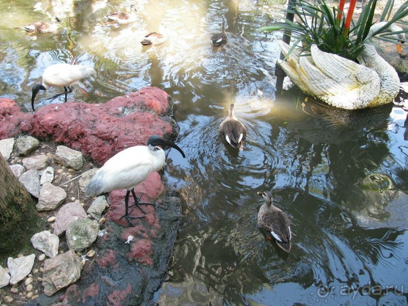 Тайланд навсегда....Часть 2. Тропический сад Нонг Нуч в Паттайе.