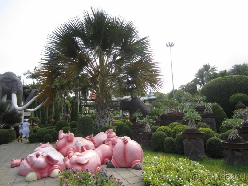 Тайланд навсегда....Часть 2. Тропический сад Нонг Нуч в Паттайе.