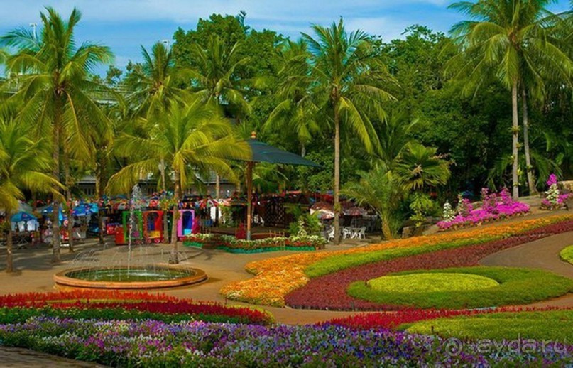 Тайланд навсегда....Часть 2. Тропический сад Нонг Нуч в Паттайе.