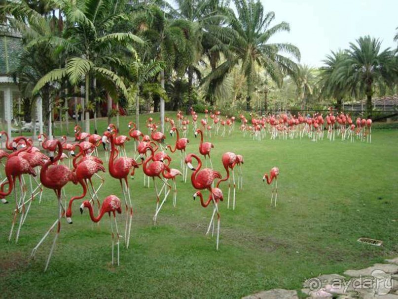 Тайланд навсегда....Часть 2. Тропический сад Нонг Нуч в Паттайе.
