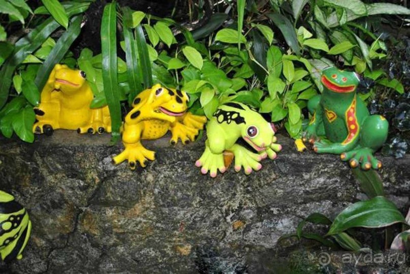 Тайланд навсегда....Часть 2. Тропический сад Нонг Нуч в Паттайе.