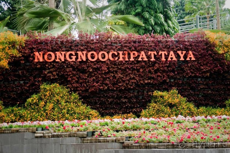 Тайланд навсегда....Часть 2. Тропический сад Нонг Нуч в Паттайе.