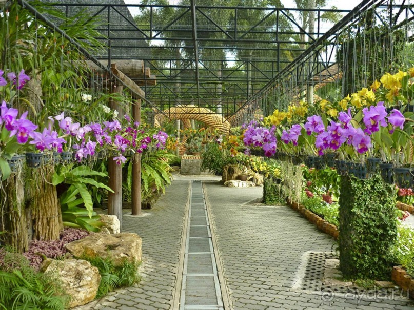 Тайланд навсегда....Часть 2. Тропический сад Нонг Нуч в Паттайе.