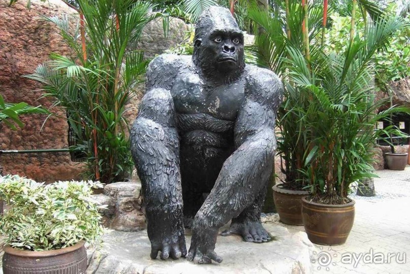 Тайланд навсегда....Часть 2. Тропический сад Нонг Нуч в Паттайе.