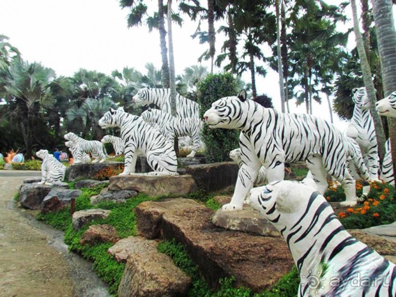 Тайланд навсегда....Часть 2. Тропический сад Нонг Нуч в Паттайе.