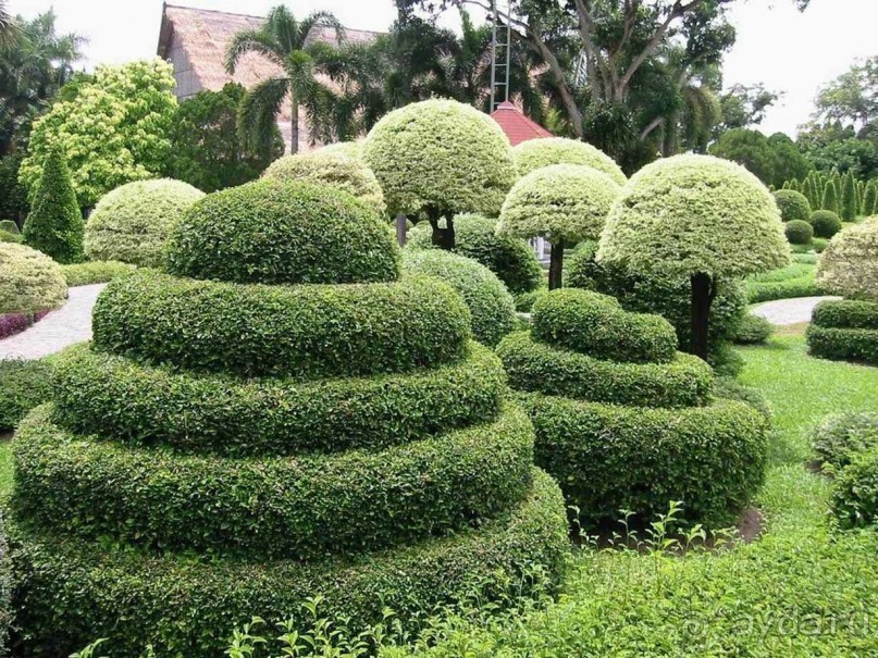 Тайланд навсегда....Часть 2. Тропический сад Нонг Нуч в Паттайе.