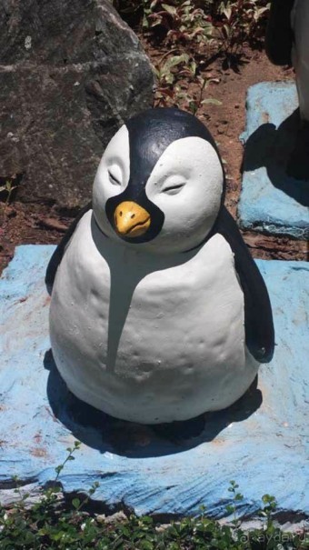 Тайланд навсегда....Часть 2. Тропический сад Нонг Нуч в Паттайе.