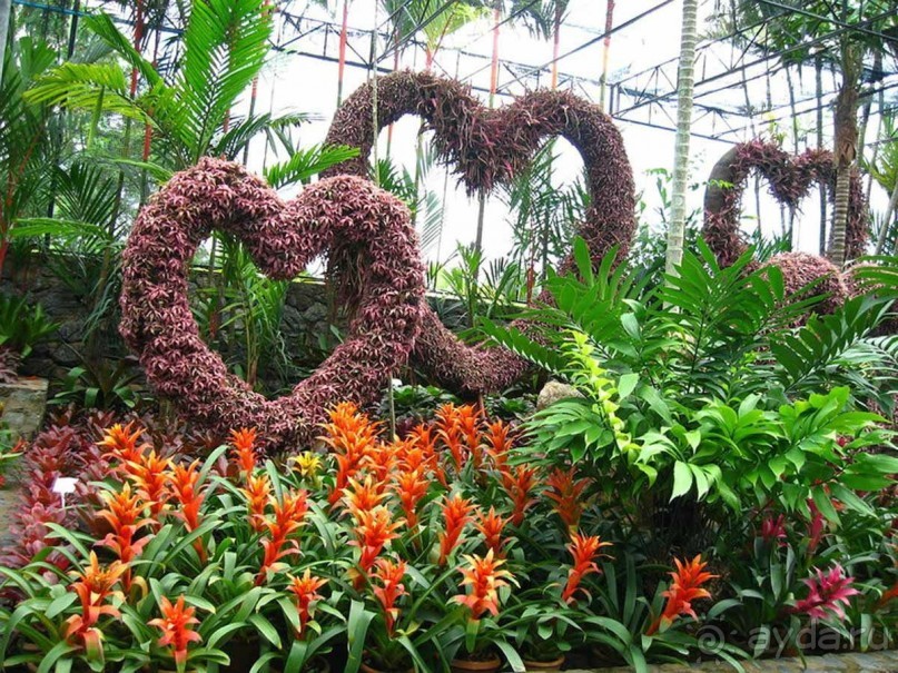 Тайланд навсегда....Часть 2. Тропический сад Нонг Нуч в Паттайе.