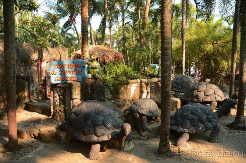 Тайланд навсегда....Часть 2. Тропический сад Нонг Нуч в Паттайе.
