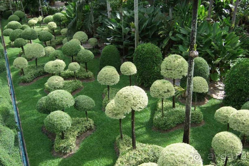 Тайланд навсегда....Часть 2. Тропический сад Нонг Нуч в Паттайе.