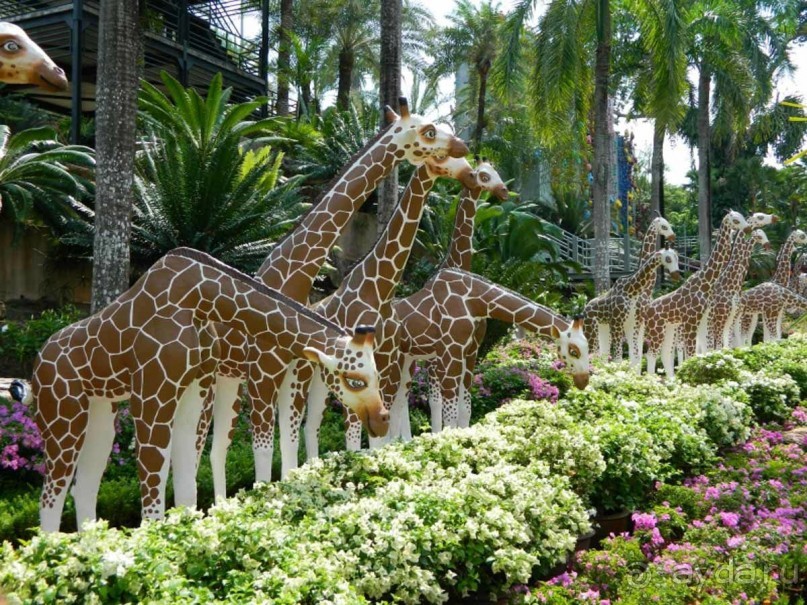 Тайланд навсегда....Часть 2. Тропический сад Нонг Нуч в Паттайе.