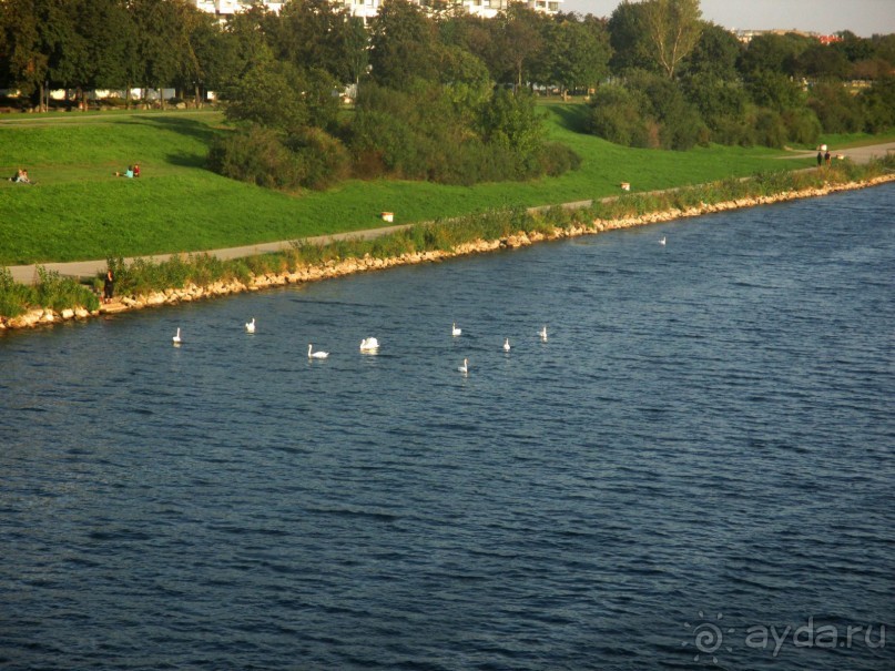 В Вене все связано с Дунаем, и он присутствует буквально везде – Старый Дунай или Дунайская пойма, Дунайский канал и Дунайский остров