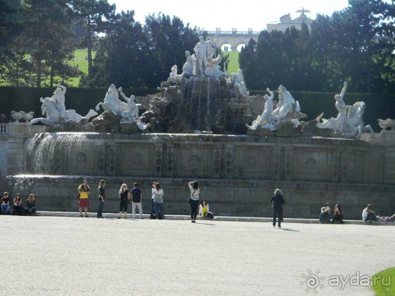 Фонтан «Нептун» расположен у подножия холма позади дворца Шенбрунн и предназначен как венец элемента Большого Партера. Он был задуман как часть общего дизайна садов и парка по заказу Марии Терезии в 1770-х годах.  В центре фигурной группы Нептун стоит в колеснице в форме раковины, его трезубец в руке. Слева от него находится нимфа, а справа от него стоит на коленях богиня Фетида, умоляя Нептуна благословить путешествие сына, Ахилла, который отправился покорять Трою.  У подножия грота тритоны - существа, наполовину люди, наполовину рыбы, они держат раковину трубы, с которой они могут внушать страх от человека до животного и морские коньки, окружающие колесницу Нептуна.

Нептун - символ господства над водной стихией является общим мотивом  16 - 18-х веков, используется как символ для монархов контролирующих судьбы своих народов.
