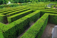 Когда-то по его извилистым дорожкам бродили члены императорской семьи. Теперь парковый лабиринт Шенбрунна открыт для всех желающих.