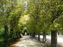 Сентябрь в дворцово-парковом комплексе Шенбрунн.