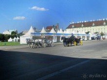 Галопом по Вене -2.  Сентябрь 2014.