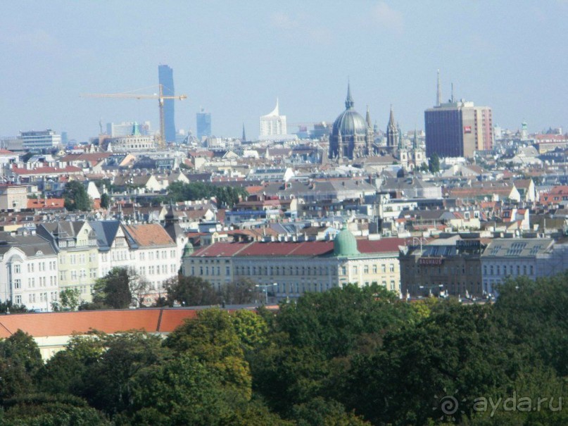 Галопом по Вене -2.  Сентябрь 2014.