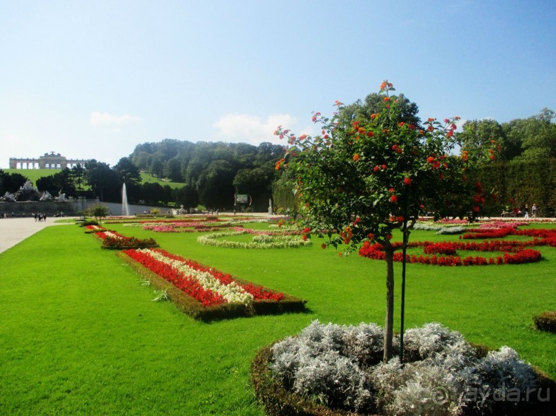 Галопом по Вене -2.  Сентябрь 2014.