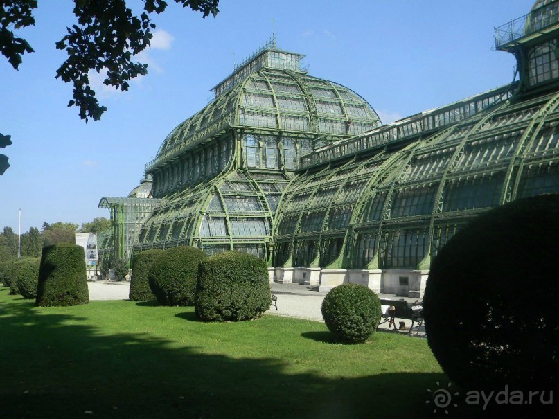 Оранжерея «Пальмовый Дом», расположена на территории бывшего голландского сада в Шенбрунне.. Основана она была в 1881-82 годах