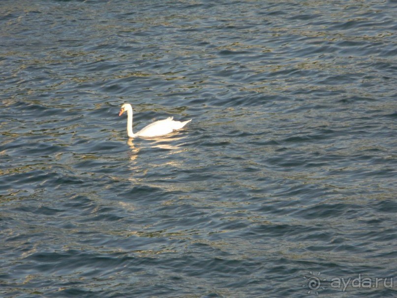 Галопом по Вене -2.  Сентябрь 2014.