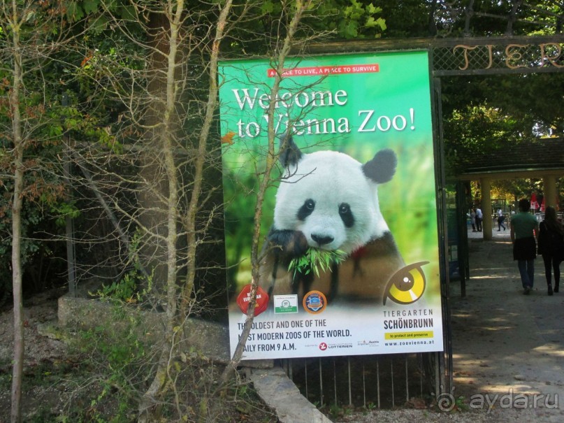 В 1752 году по приказу  Франца I на территории замково-паркового комплекса основали первый в Европе зоопарк, который и сейчас остается одним из лучших в Европе.