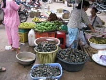 Тайланд навсегда. Часть 3. Двухдневная экскурсия в Камбоджу.