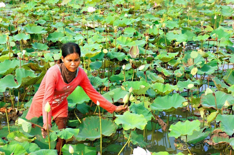 Тайланд навсегда. Часть 3. Двухдневная экскурсия в Камбоджу.