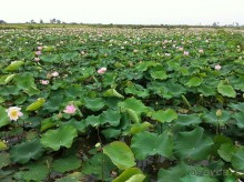 Тайланд навсегда. Часть 3. Двухдневная экскурсия в Камбоджу.