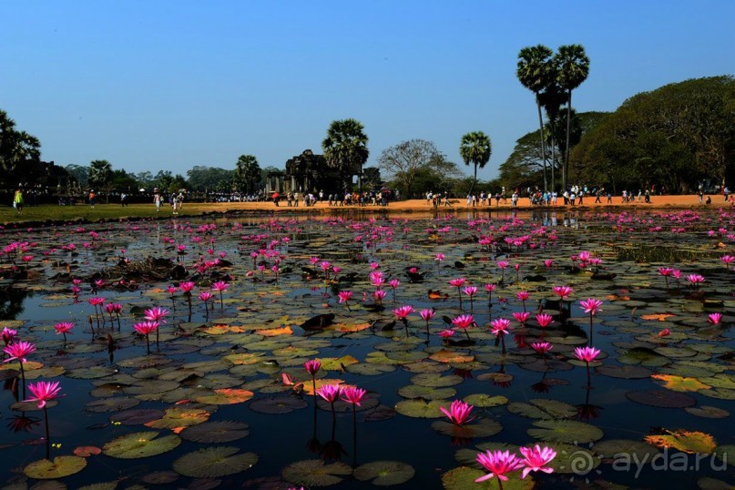 Тайланд навсегда. Часть 3. Двухдневная экскурсия в Камбоджу.