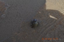 хочу обратно))))