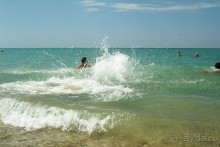 Альбом отзыва "Украина, Крым, Море."