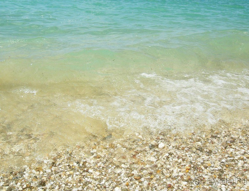 Альбом отзыва "Украина, Крым, Море."