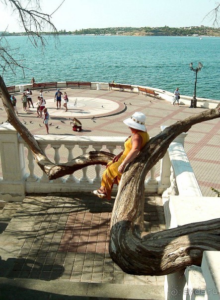 Альбом отзыва "Украина, Крым, Море."