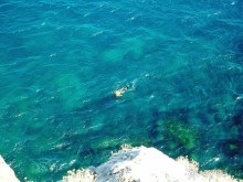 Альбом отзыва "Украина, Крым, Море."