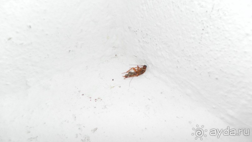 Отвратительно