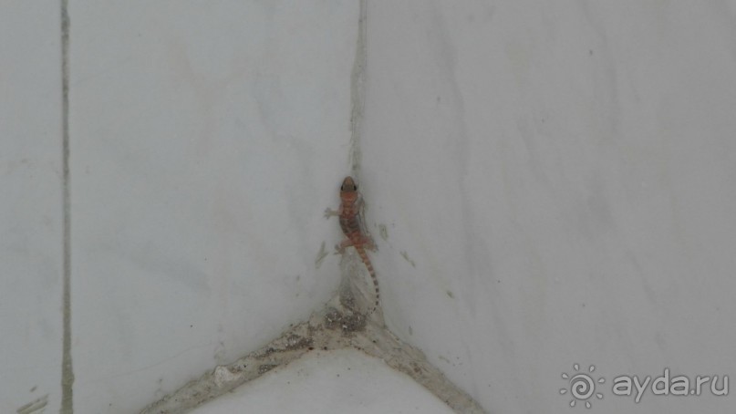 Отвратительно