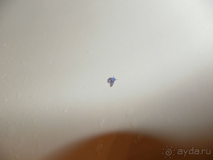 Отвратительно