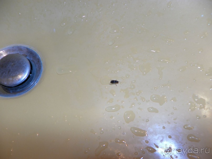 Отвратительно