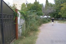 Пицунда, гостевой дом Светлана