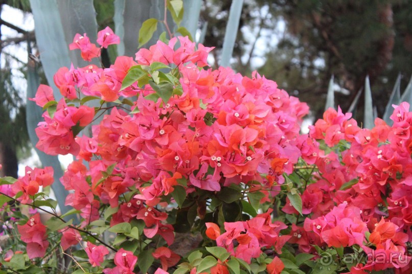 Очень много детей...