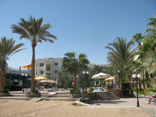 отличный отдых в Хургаде