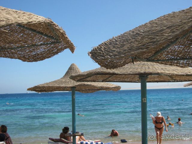 отличный отдых в Хургаде