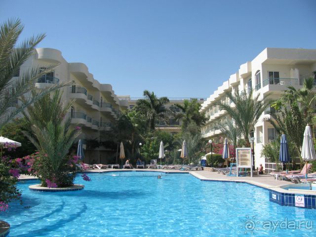 отличный отдых в Хургаде