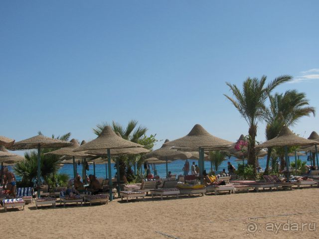 отличный отдых в Хургаде