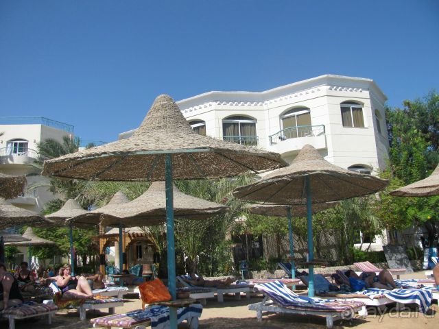 отличный отдых в Хургаде