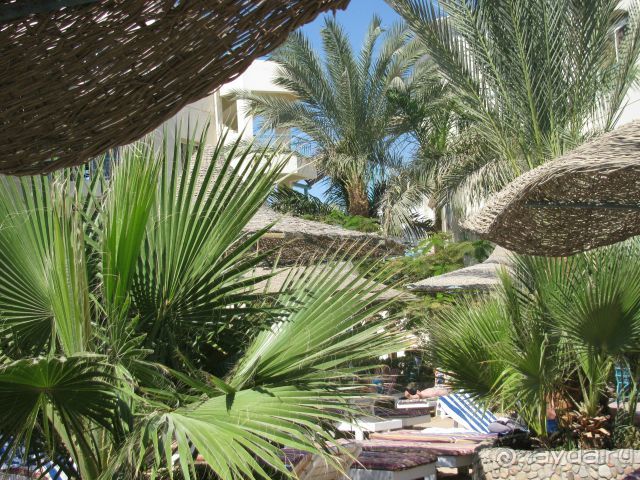 отличный отдых в Хургаде