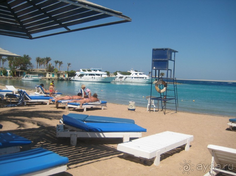 Хочу вернуться в этот райский уголок-отель Regina****